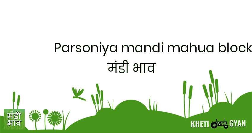 Parsoniya Mandi, Mahua block मंडी भाव की ताज़ा तस्वीर